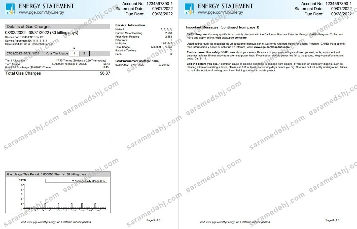 USA California PG&E (Pacific Gas and Electric Company) utility bill, Word and PDF template, 6 pages 5 6